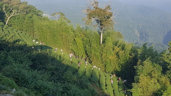 20170716_063457a600.jpg