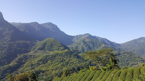 20170716_071318aaa600.jpg