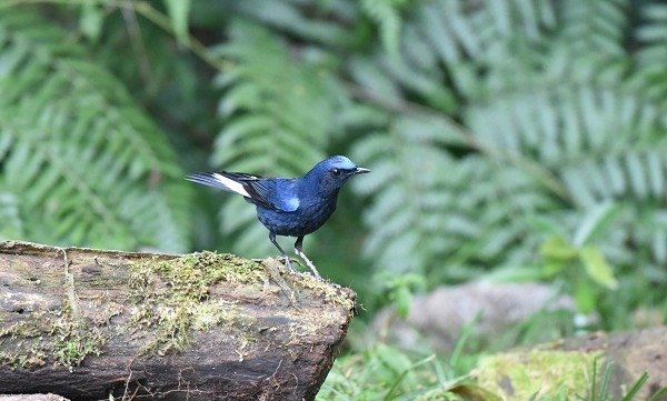 DSC_6257aaa600.jpg