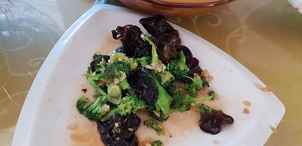 20190205_130812a600.jpg