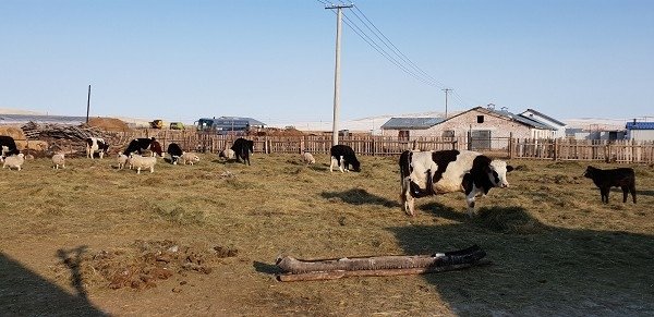 20190206_141533a600.jpg