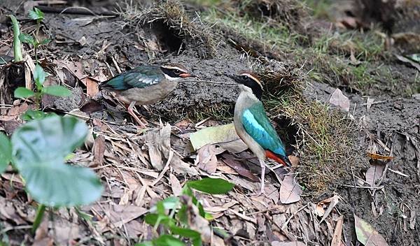 DSC_8706a2000.jpg