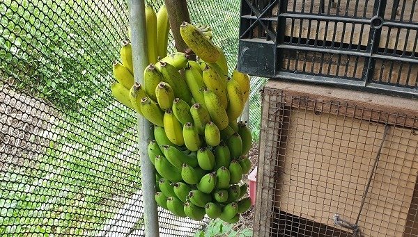 20191020_123916a600a.jpg