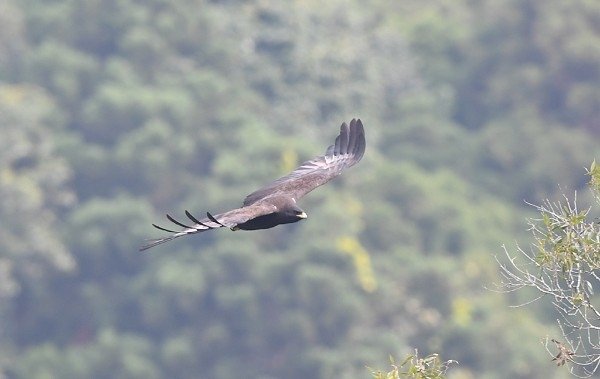 DSC_7391aa600a.jpg