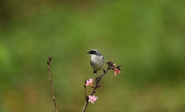 DSC_9128aaa600.jpg
