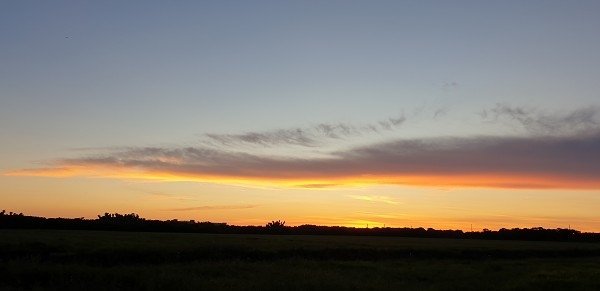 20200711_185508a600.jpg