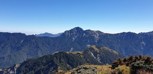 20210207_114451aa600.jpg
