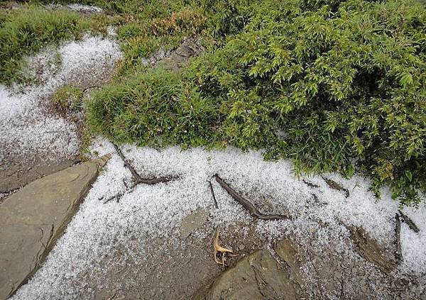 冰雹~合歡山北峰