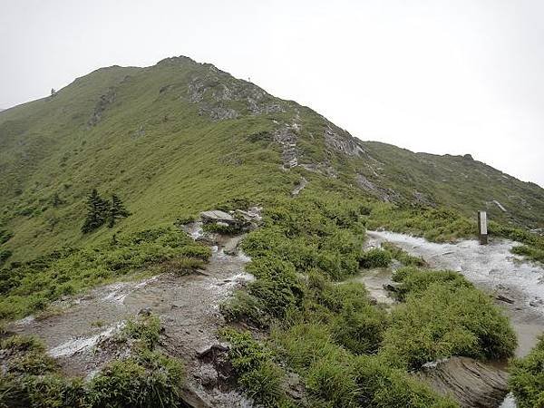 冰雹~合歡山北峰