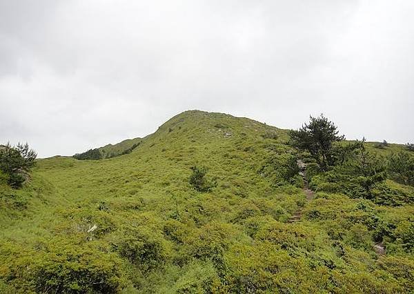 冰雹~合歡山北峰
