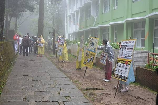阿里山賞櫻感2013.