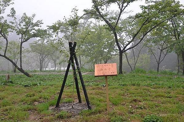 阿里山賞櫻感2013.