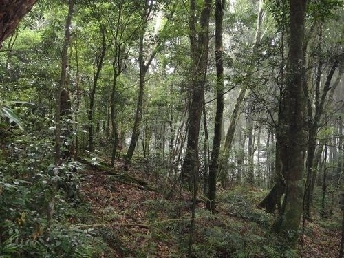 比大鳥山連走~二次行. 飆山.