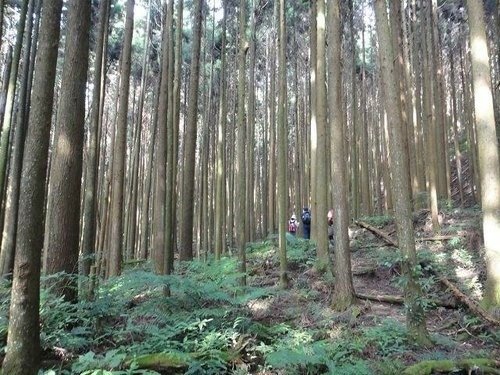 比大鳥山連走~二次行. 飆山.