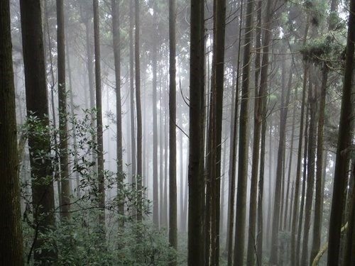 比大鳥山連走~二次行. 飆山.