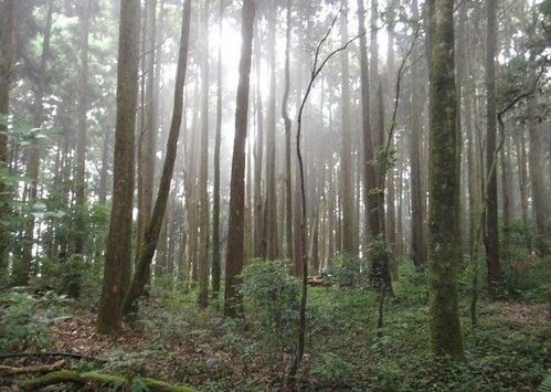 比大鳥山連走~二次行. 飆山.