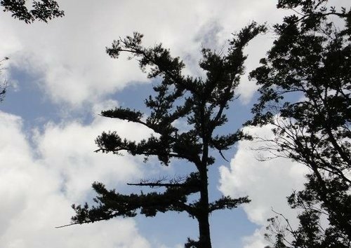 比大鳥山連走~二次行. 飆山.