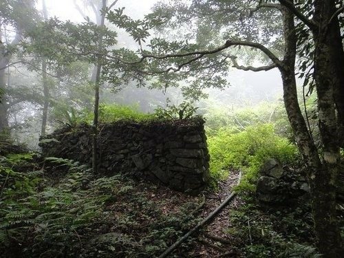 比大鳥山連走~二次行. 飆山.