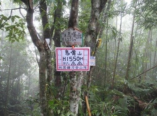 比大鳥山連走~二次行. 飆山.