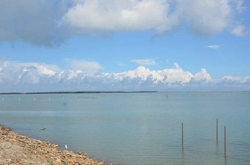 台江國家公園~七股潟湖. 頂頭額沙洲. 國聖燈塔. 黑面琵鷺