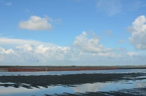 台江國家公園~七股潟湖. 頂頭額沙洲. 國聖燈塔. 黑面琵鷺