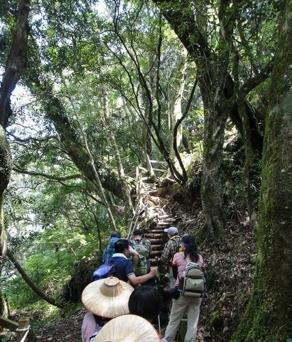 霞客羅大山:
