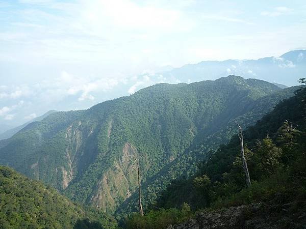 關刀山走守關山(埔里).--好長路.好山林.好生態.