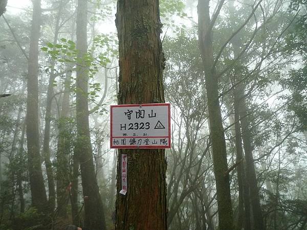 關刀山走守關山(埔里).--好長路.好山林.好生態.