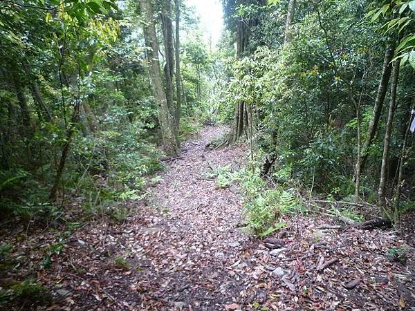 關刀山走守關山(埔里).--好長路.好山林.好生態.