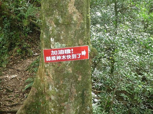 北插天山---雨中苦行. 一身泥.一身痛. 雖苦亦樂