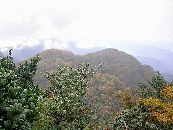 北插天山---雨中苦行. 一身泥.一身痛. 雖苦亦樂