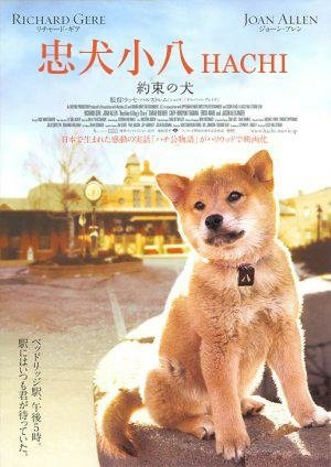 忠犬小 八- -人與犬認知不同.