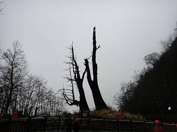 特富野古道兒玉山東水山