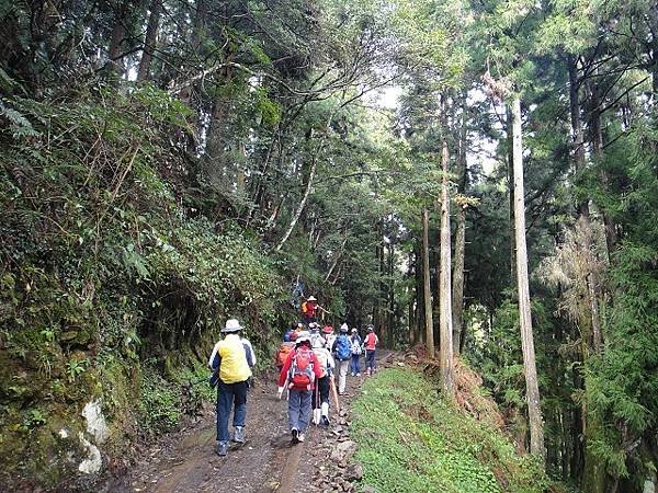 特富野古道兒玉山東水山