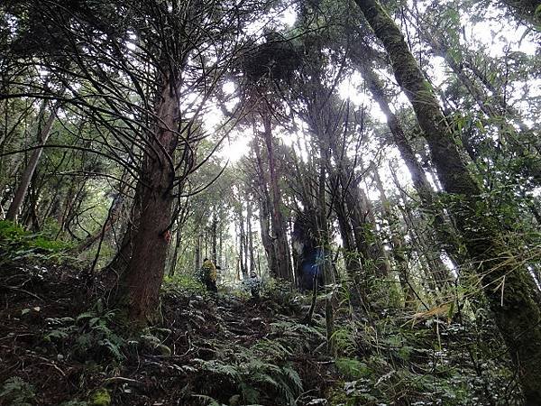 特富野古道兒玉山東水山