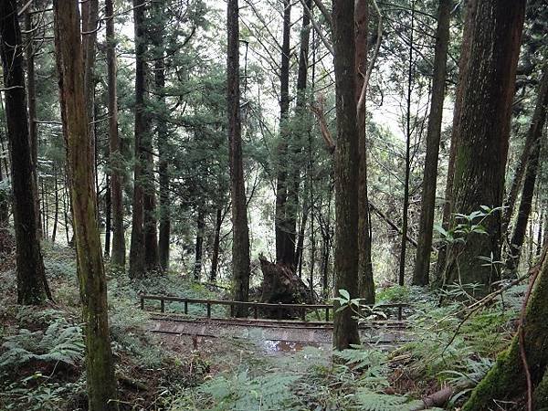 特富野古道兒玉山東水山