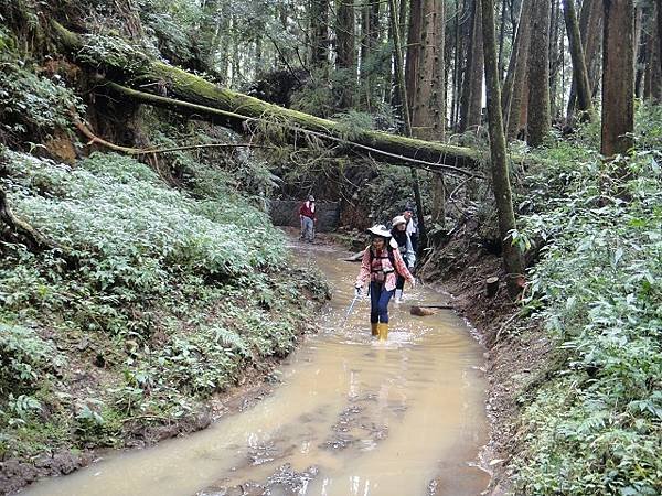 特富野古道兒玉山東水山