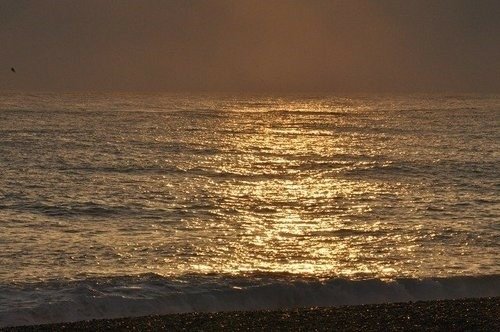 回家過年(2): 七星潭觀日出.