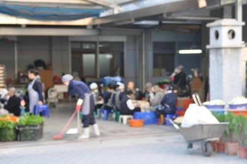 回家過年(3): 慈濟精舍~寧靜與忙碌的清晨
