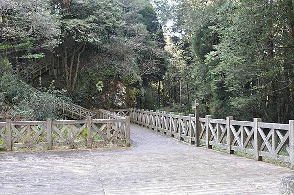 塔山步道登大塔山: 阿里山一日遊 (2)