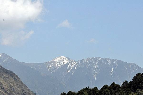 玉山之美: 麟趾山.鹿林山.東埔山(2)