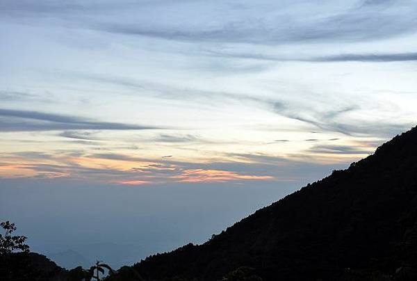 大雪山遊樂區~藍天白雲.神木.古道.夕陽.