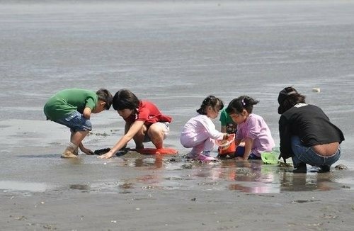 媽祖魚~還在嗎?