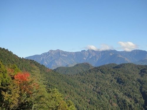 豐山石夢谷走阿里山(1) ~ 阿里山楓紅篇
