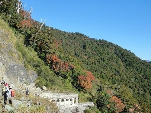 豐山石夢谷走阿里山(1) ~ 阿里山楓紅篇