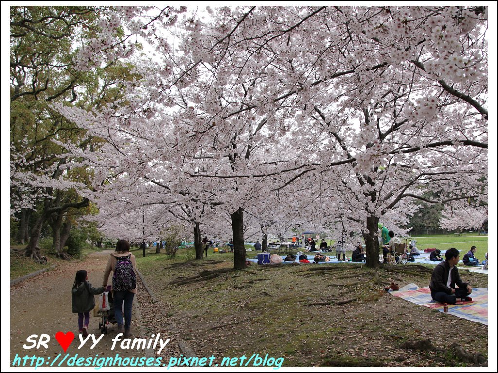 舞鶴花園-賞櫻15.jpg