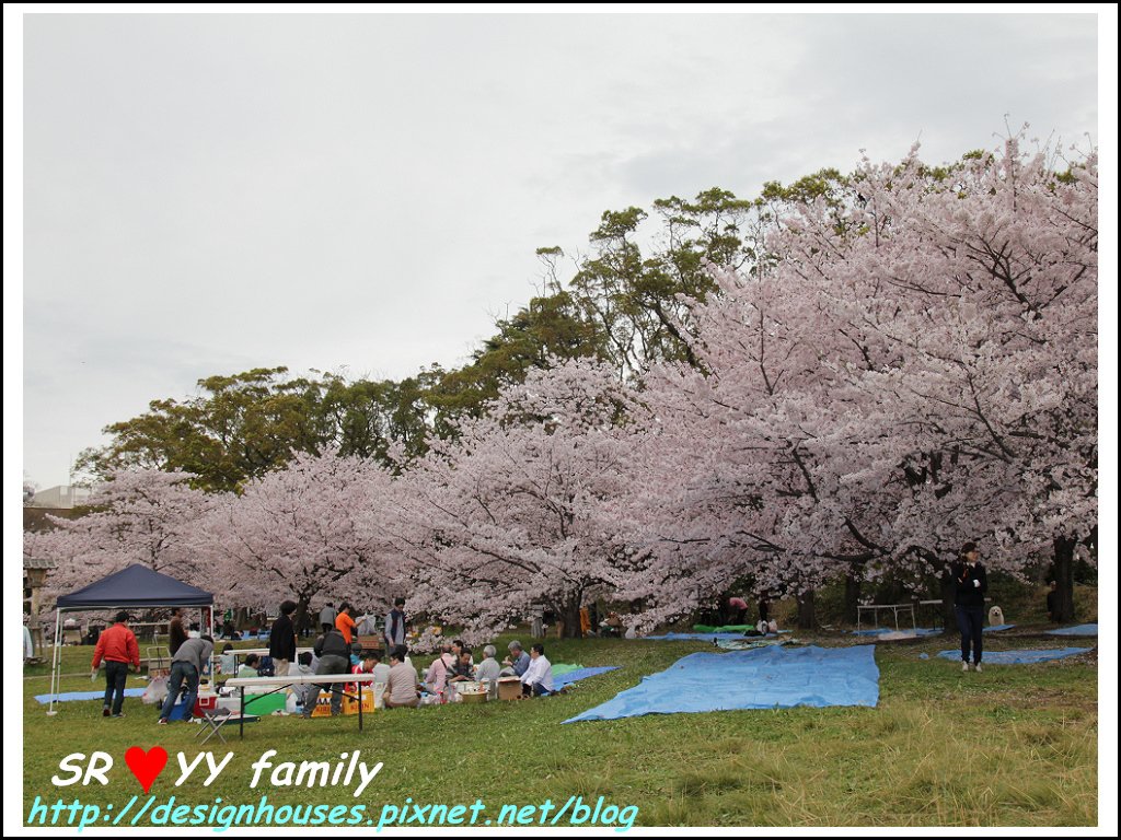 舞鶴花園-賞櫻19.jpg