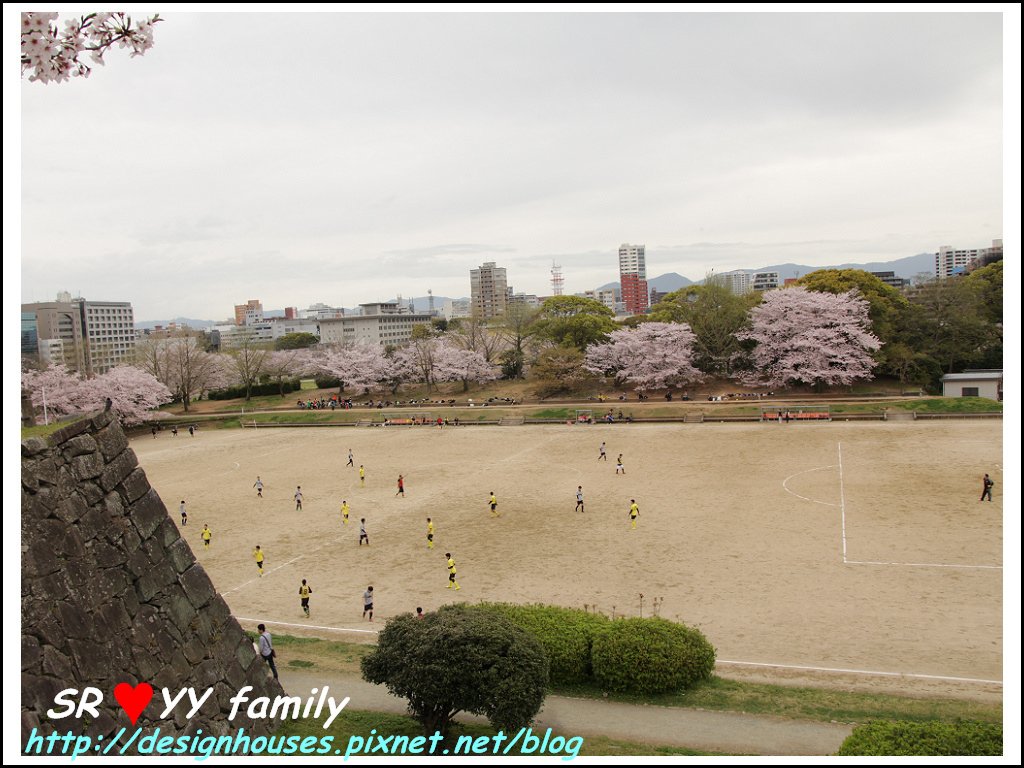 舞鶴花園-賞櫻32.jpg