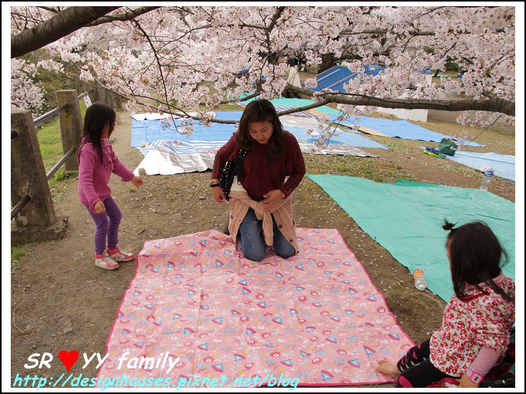 舞鶴花園-賞櫻34.jpg