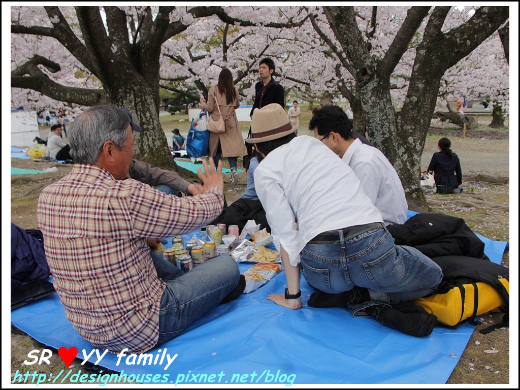 舞鶴花園-賞櫻46.jpg